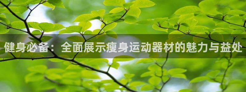 哈哈体育娱乐是那个系列的台子：健身必备：全面展示瘦身运动器材