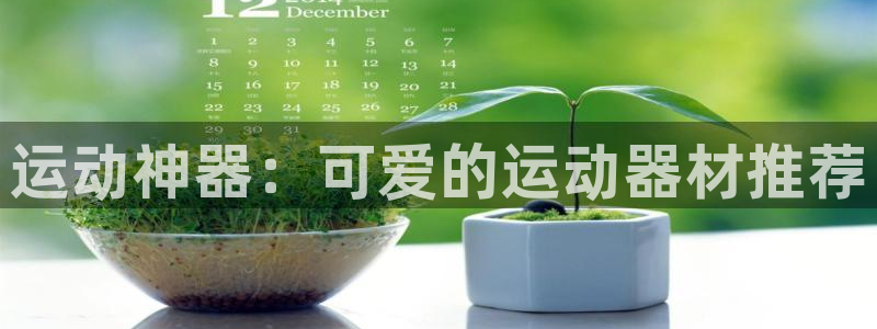 哈哈体育平台注册要钱吗：运动神器：可爱的运动器材推荐